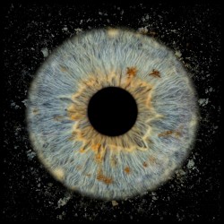 Превърнете вашите очи в уникална картина с ирисова фотография в Пловдив - един ирис в рамка