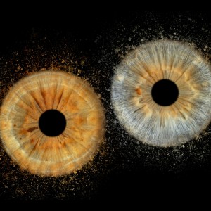 Превърнете вашите очи в уникална картина с ирисова фотография в София - заснемане на два ириса