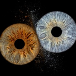 Превърнете вашите очи в уникална картина с ирисова фотография в Пловдив