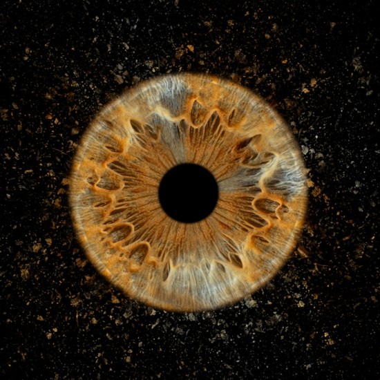 Превърнете вашите очи в уникална картина с ирисова фотография  в София от Makaroon