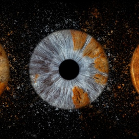 Превърнете вашите очи в уникална картина с ирисова фотография  в София от Makaroon