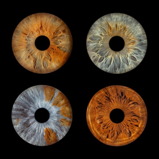 Превърнете вашите очи в уникална картина с ирисова фотография  в София от Makaroon