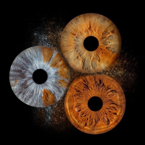 Превърнете вашите очи в уникална картина с ирисова фотография  в София от Makaroon