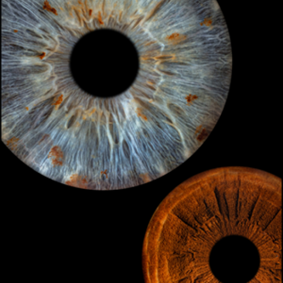 Превърнете вашите очи в уникална картина с ирисова фотография  в София от Makaroon