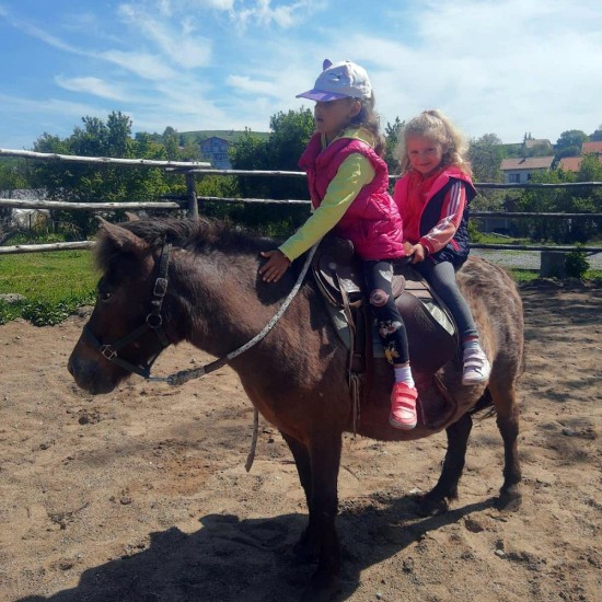 Насладете се на красотата на природата с Разходка на кон край Перник за двама от Makaroon Насладете се на красотата на природата с Разходка на кон край Перник за двама от Makaroon