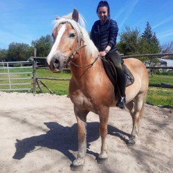 Разходка на кон край Перник за двама