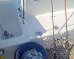 Luxury boat and fishing near Sozopol for four people from Makaroon