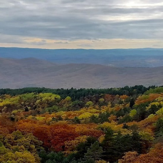 Историческо сафари с джип за двама "По пътя на траките" от Makaroon.bg