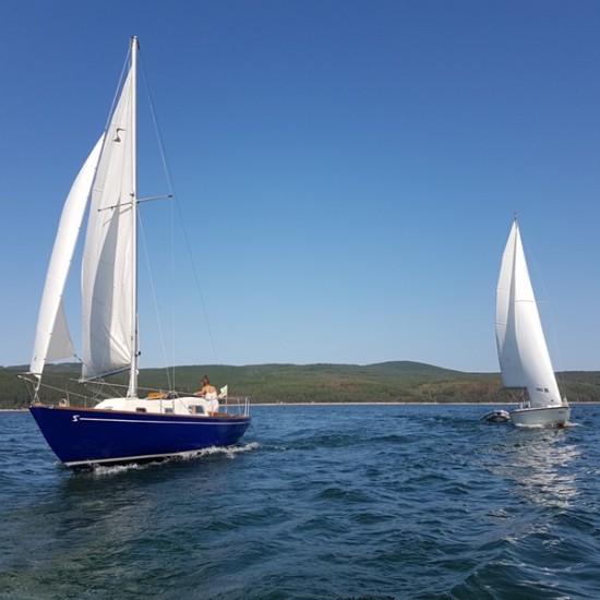 Позабавлявайте се с приятели сред водата с Разходка за до 4 души с яхта на яз. Искър от Makaroon