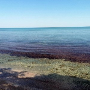 Гмуркане за начинаещи в археологически резерват в Несебър