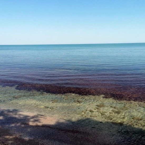 Гмуркане за начинаещи в архиеологически резерват в Несебър от Макароон