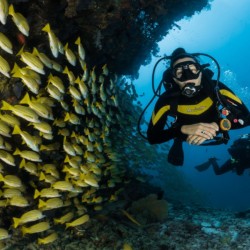 Водолазен курс за начинаещи на Халкидики: Open Water Diving Course
