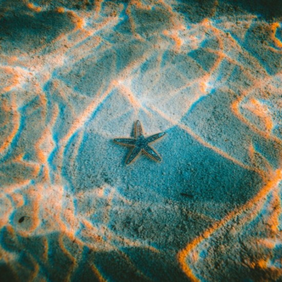 Докоснете се до морското дъно, и то буквално, с Водолазен курс за начинаещи на Халкидики от Makaroon Докоснете се до морското дъно, и то буквално, с Водолазен курс за начинаещи на Халкидики от Makaroon