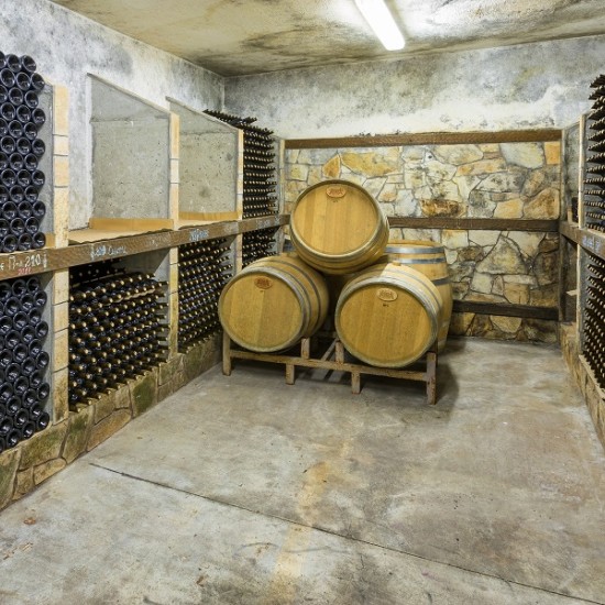 Нощувка с дегустация на вино - по стъпките на героите от сериала „ВИНА“ от Макароон Нощувка с дегустация на вино - по стъпките на героите от сериала „ВИНА“ от Макароон