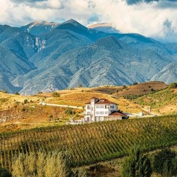 „ВИНОТО ЗАД КАДЪР” - Из снимачните локации на сериала „ВИНА”