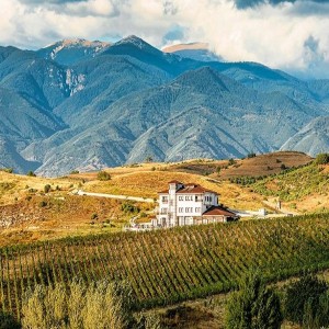 „ВИНОТО ЗАД КАДЪР” - Из снимачните локации на сериала „ВИНА” „ВИНОТО ЗАД КАДЪР” - Из снимачните локации на сериала „ВИНА”