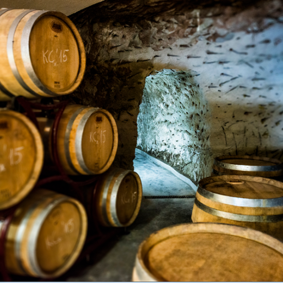 "WINE BEHIND THE SCENES"- through the shooting locations of the series "Vina" from Makaroon