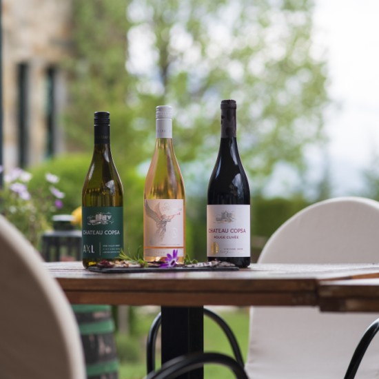 Дегустация на шоколад и вино в Шато Копса – опияняващо пътешествие из света на вкусовете от Макароон