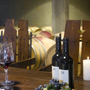 Насладете се на лимитирани серии вина с ''Луксозна гурме дегустация в Шато Копса за двама''