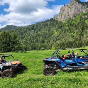 Двучасова разходка с бъги до Смолянски водопади за един човек – вижте красотата на Родопите 