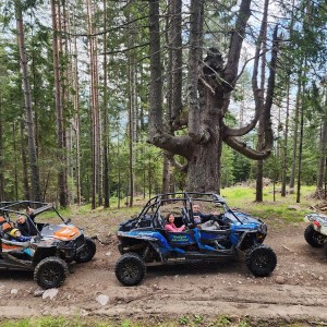 Двучасова разходка с бъги до Смолянски водопади за един човек – вижте красотата на Родопите 