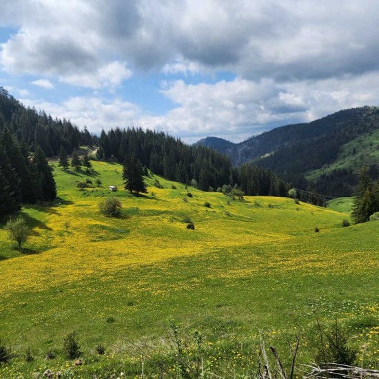 С колело сред природата край Смолян от Makaroon