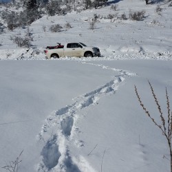 Целодневен тур с джип в Родопите за до 4 човека, край Смолян Целодневен тур с джип в Родопите за до 4 човека, край Смолян