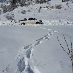 Целодневен тур с джип в Родопите за до 4 човека, край Смолян