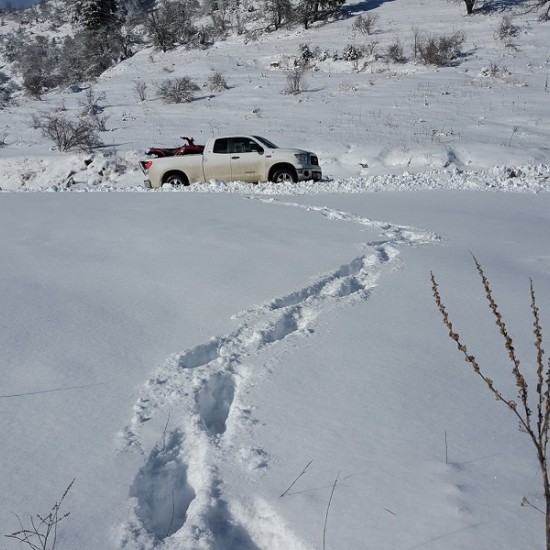 Full-day jeep tour in the Rhodopes for up to 4 people from Makaroon