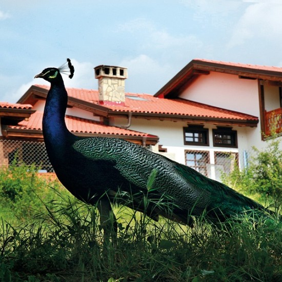 Винен тур и дегустация на 7 вина в комплекс Старосел за двама от Makaroon