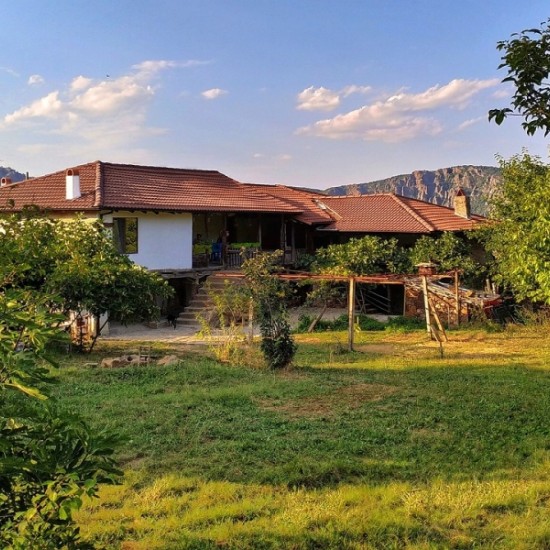 Уикенд за двама в Магическата стая, Старото гнездо