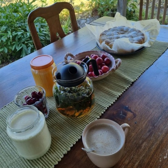 Уикенд за двама в Магическата стая, Старото гнездо