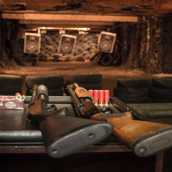 Стрелба с различни видове оръжие от Makaroon