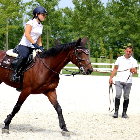 Насладете се на приказна тишина: Нощувка със закуска, урок по езда и масаж за двама от Makaroon