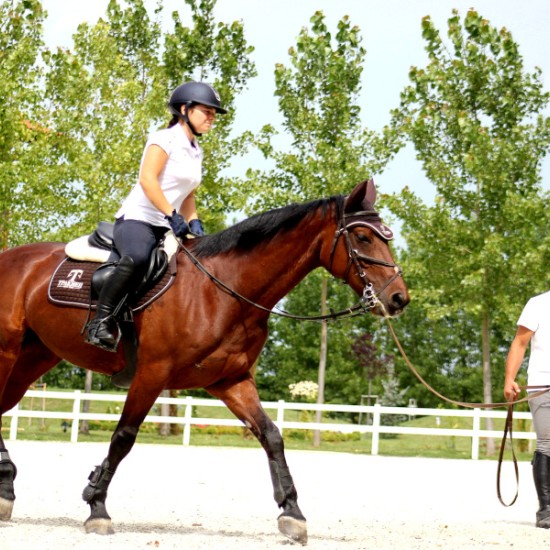 Насладете се на една невероятна почивка с Две нощувки със закуска, урок по езда и масаж за двама от Makaroon