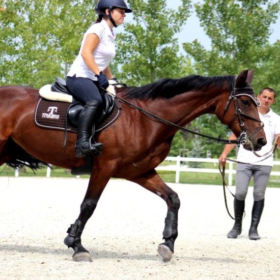 Насладете се на една невероятна почивка с Две нощувки със закуска, урок по езда и масаж за двама от Makaroon