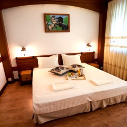 В красивия свят на конете: Две нощувки със закуска, урок по езда и масаж за двама В красивия свят на конете: Две нощувки със закуска, урок по езда и масаж за двама