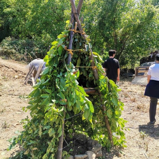 Как да пребиваваш в естествена природна среда? Научете с Бушкрафт обучение по избор край Трявна от Makaroon Как да пребиваваш в естествена природна среда? Научете с Бушкрафт обучение по избор край Трявна от Makaroon