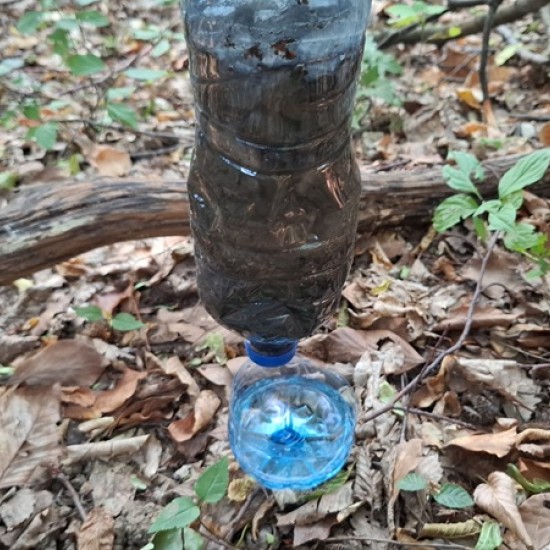 Как да пребиваваш в естествена природна среда? Научете с Бушкрафт обучение по избор край Трявна от Makaroon Как да пребиваваш в естествена природна среда? Научете с Бушкрафт обучение по избор край Трявна от Makaroon