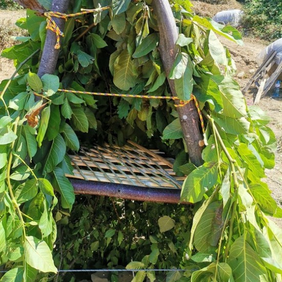 Как да пребиваваш в естествена природна среда? Научете с Бушкрафт обучение по избор край Трявна от Makaroon Как да пребиваваш в естествена природна среда? Научете с Бушкрафт обучение по избор край Трявна от Makaroon