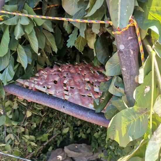 Как да пребиваваш в естествена природна среда? Научете с Бушкрафт обучение по избор край Трявна от Makaroon Как да пребиваваш в естествена природна среда? Научете с Бушкрафт обучение по избор край Трявна от Makaroon