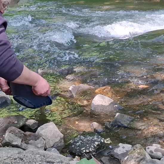 Впуснете се в едно необикновено приключение и станете златотърсач за един ден в Тревненската река - от Makaroon Впуснете се в едно необикновено приключение и станете златотърсач за един ден в Тревненската река - от Makaroon