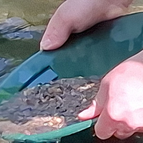 Впуснете се в едно необикновено приключение и станете златотърсач за един ден в Тревненската река - от Makaroon Впуснете се в едно необикновено приключение и станете златотърсач за един ден в Тревненската река - от Makaroon