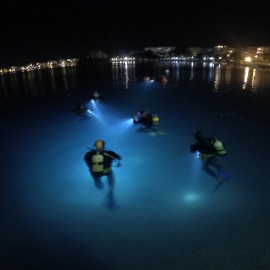 Уникален подарък - нощно гмуркане край Несебър от Макароон