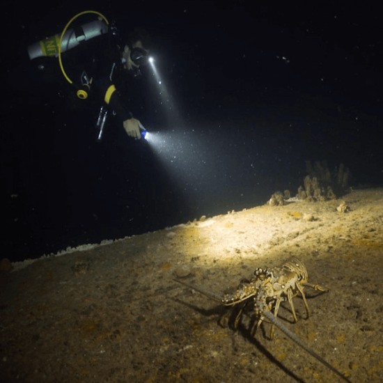 Уникален подарък - нощно гмуркане край Несебър от Макароон