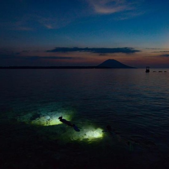 Уникален подарък - Нощен шнорхелинг | Makaroon.bg