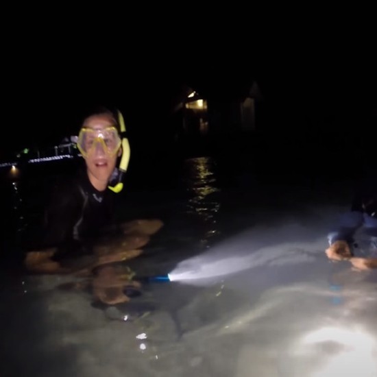 Уникален подарък - Нощен шнорхелинг | Makaroon.bg