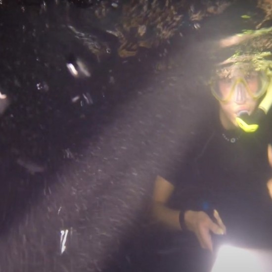 Уникален подарък - Нощен шнорхелинг | Makaroon.bg