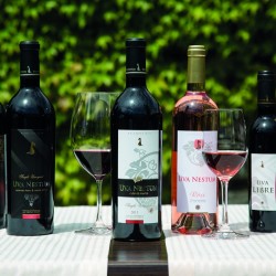 Дегустация на вино за двама от изба Uva Nestum