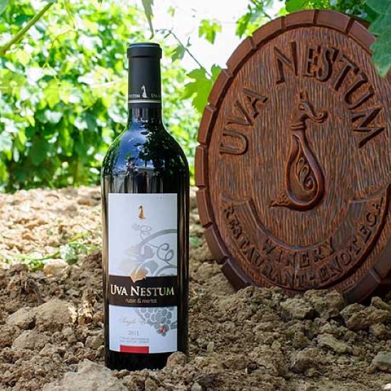 Подарете една сензационна дегустация на вино за двама от изба Uva Nestum от Makaroon Подарете една сензационна дегустация на вино за двама от изба Uva Nestum от Makaroon